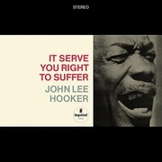 John Lee Hooker:  It Serve You Right To Suffer