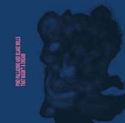 Pino Palladino And Blake Mills:  That Wasn´T A Dream