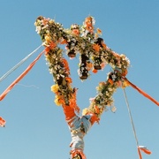 Devil Wears Prada:  Flowers