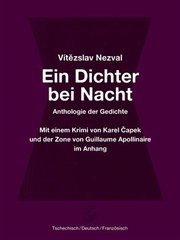 Ein Dichter bei Nacht