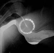 We Came As Romans: All Is Beautiful...Because We Are Doomed