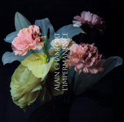 Alain Chamfort:  L´Impermanence