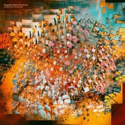 Magnetic Ghost Orchestra:  Holding On To Wonder