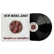 New Model Army: Thunder And Consolation