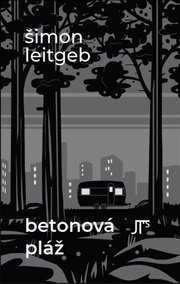 Betonová pláž