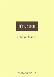 Chůze lesem
