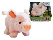 Chodiace prasiatko so zvukom