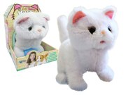 Chodiaca mačička so zvukom