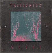 Priessnitz: Nebel