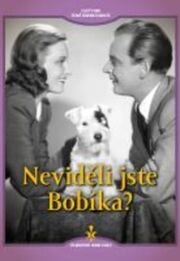 Neviděli jste Bobíka? - digipack