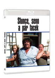 Slunce, seno a pár facek