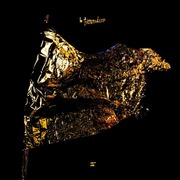De Niemanders:  II (180g)