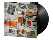 Vices:  Before It Might Be Gone (180G)