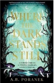Where the Dark Stands Still