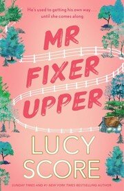 Mr Fixer Upper