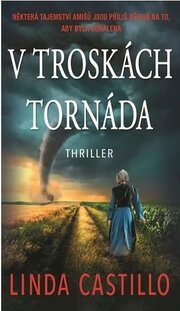 V troskách tornáda
