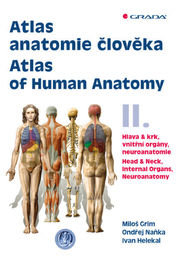 Atlas anatomie člověk II. - Atlas of Human Anatomy