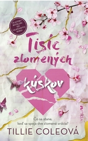 Tisíc zlomených kúskov