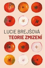 Teorie zmizení