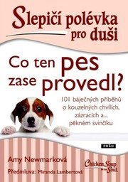 Slepičí polévka pro duši - Co ten pes za