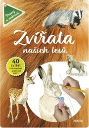 Zvířata našich lesů - Vědomosti i zábava