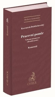 Pracovní poměr