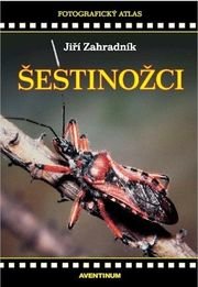 Šestinožci