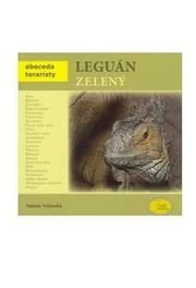 Leguán zelený