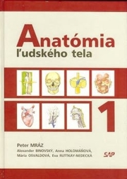 Anatómia ľudského tela 1